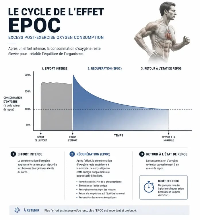 Schéma explicatif de l'effet EPOC dans le circuit training poids de corps